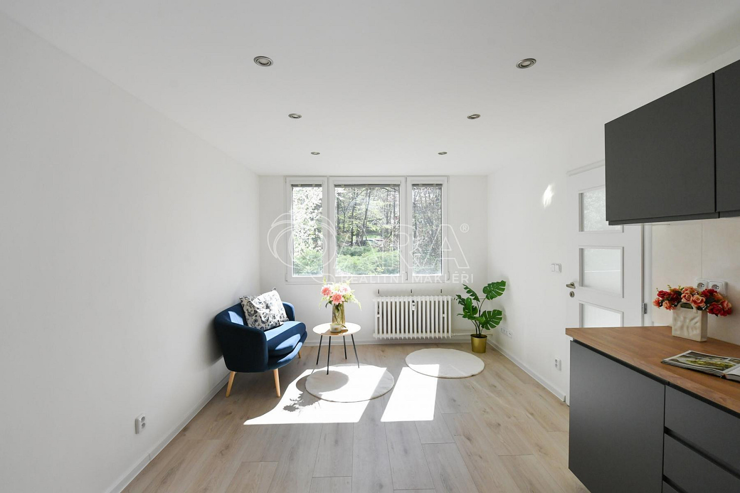 Prodej bytu 2+kk 39 m² — photo 3
