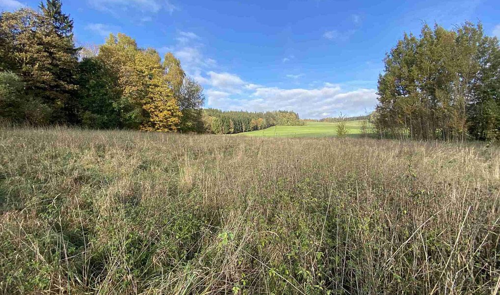 Prodej stavebního pozemku 3 207 m², Králíky – náhled fotky 7