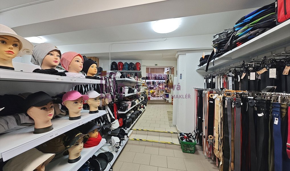 Prodej obchodních prostor 320 m², Jindřichův Hradec – náhled fotky 11