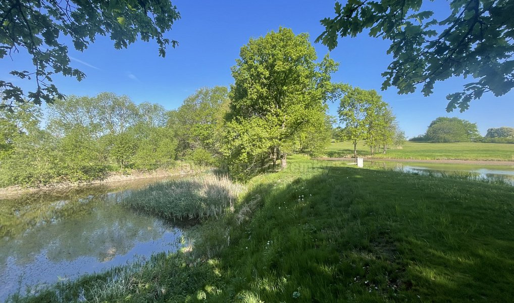 Prodej vodní plochy 1 618 m², Hrejkovice – náhled fotky 2