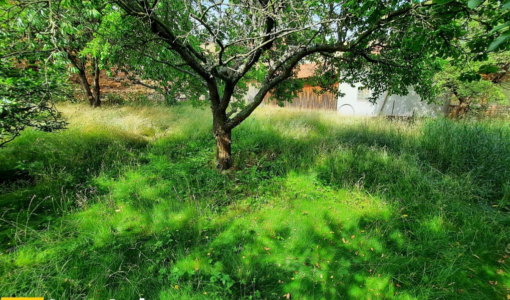 Prodej stavebního pozemku 668 m², Manětín – náhled fotky 6