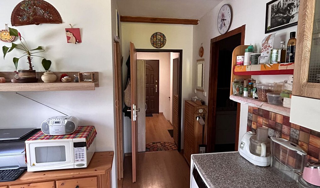Prodej bytu 1+1 34 m², Janův Důl – náhled fotky 4
