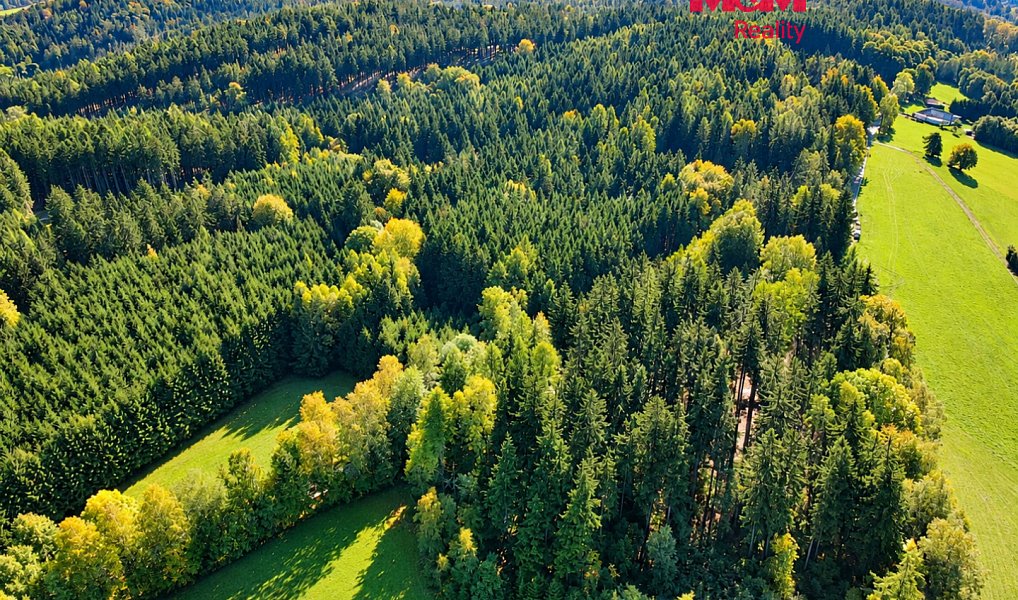 Prodej lesa, 15881 m², Bohdašín - Náchod, Červený Kostelec