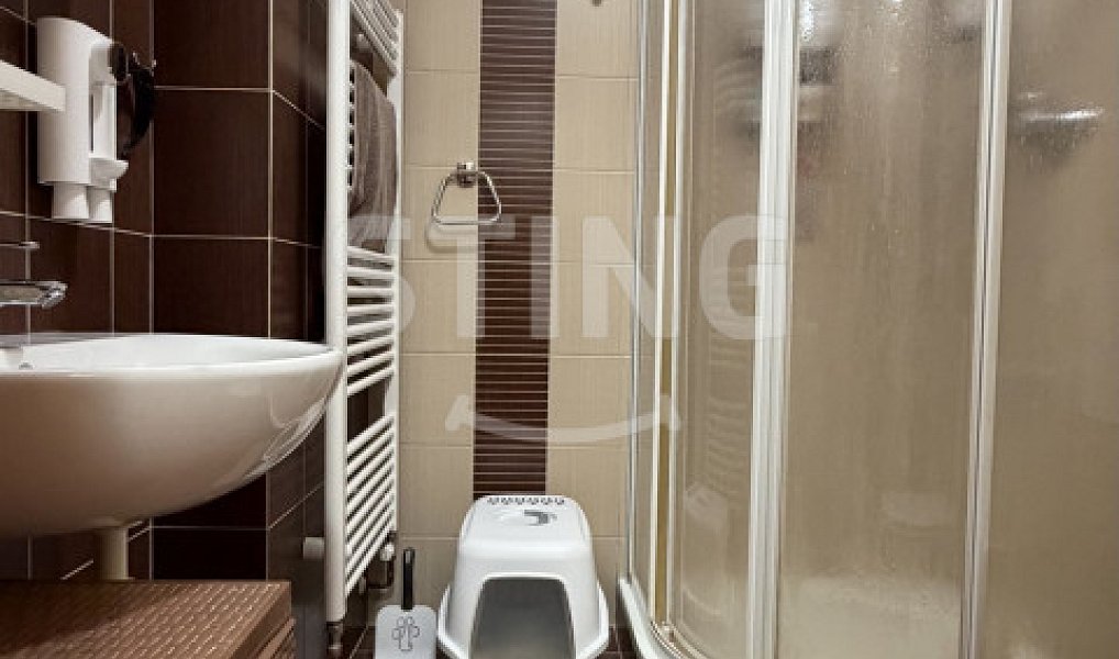 Pronájem bytu 1+1 30 m², Rýmařov – náhled fotky 8