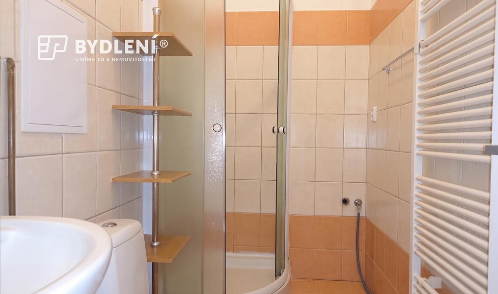 Pronájem bytu 1+1 48 m², Teplice – náhled fotky 6