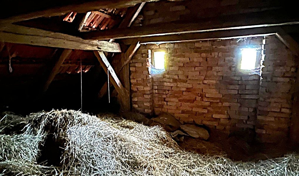 Pronájem stavebního pozemku 173 500 m², Kramolín – náhled fotky 16