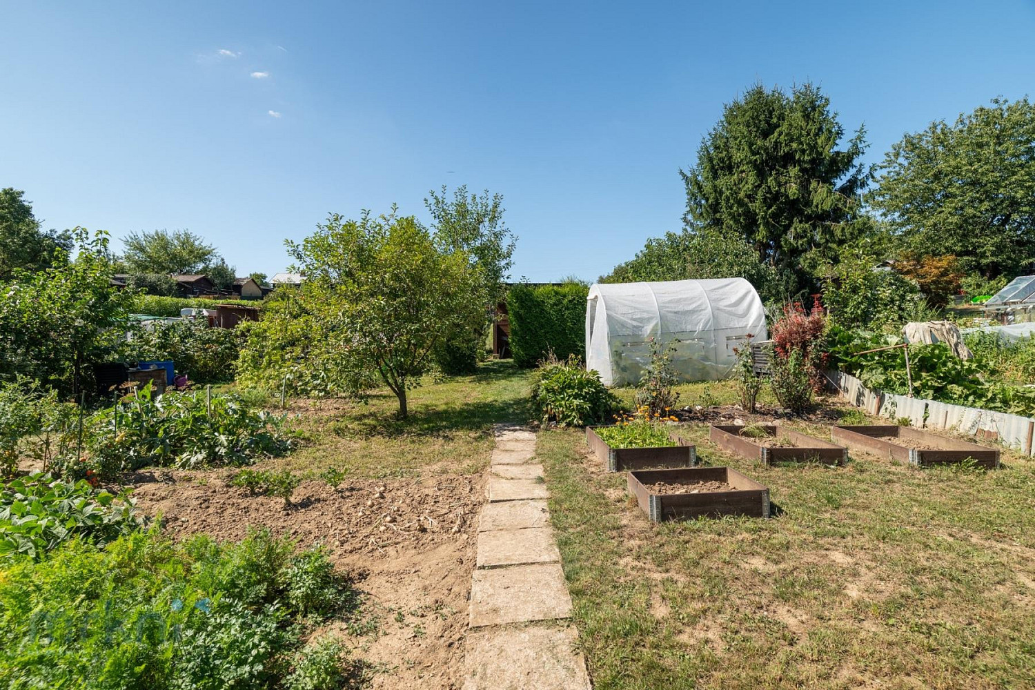 Prodej zahrady 176 m² – fotografie 4
