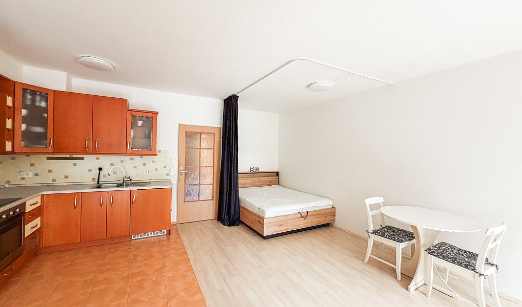 Pronájem bytu 1+kk 48 m², Praha – náhled fotky 8