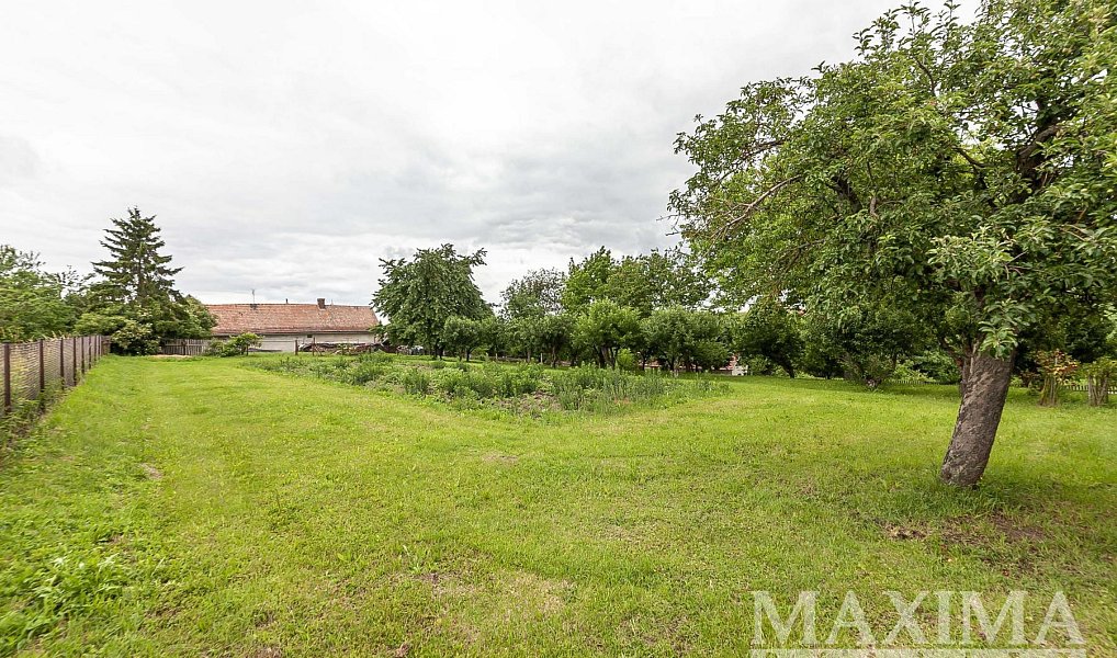 Prodej stavebního pozemku 1 372 m², Běchary – náhled fotky 8