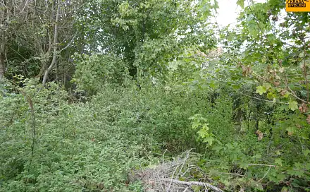 Prodej stavebního pozemku 697 m², Nemotice, okres Vyškov