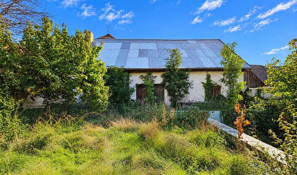 Prodej domu 400 m² s pozemkem 754 m², Podbořany – náhled fotky 5