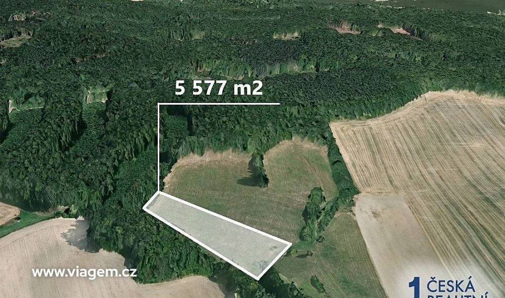 Prodej pole 5 577 m², Němětice – náhled fotky 2