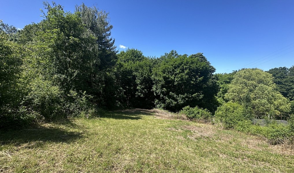 Prodej stavebního pozemku 1 256 m², Žlutava – náhled fotky 5