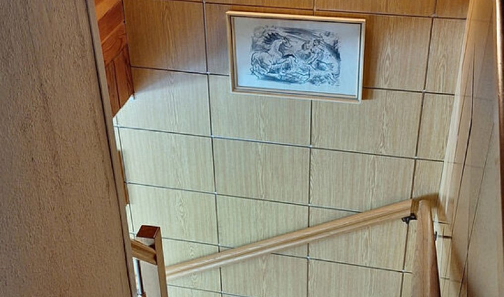 Prodej domu 92 m² s pozemkem 982 m², Moravské Málkovice – náhled fotky 53
