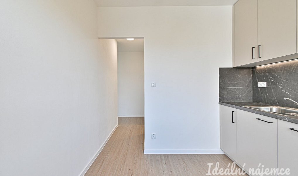Pronájem bytu 1+1 38 m², Praha – náhled fotky 7