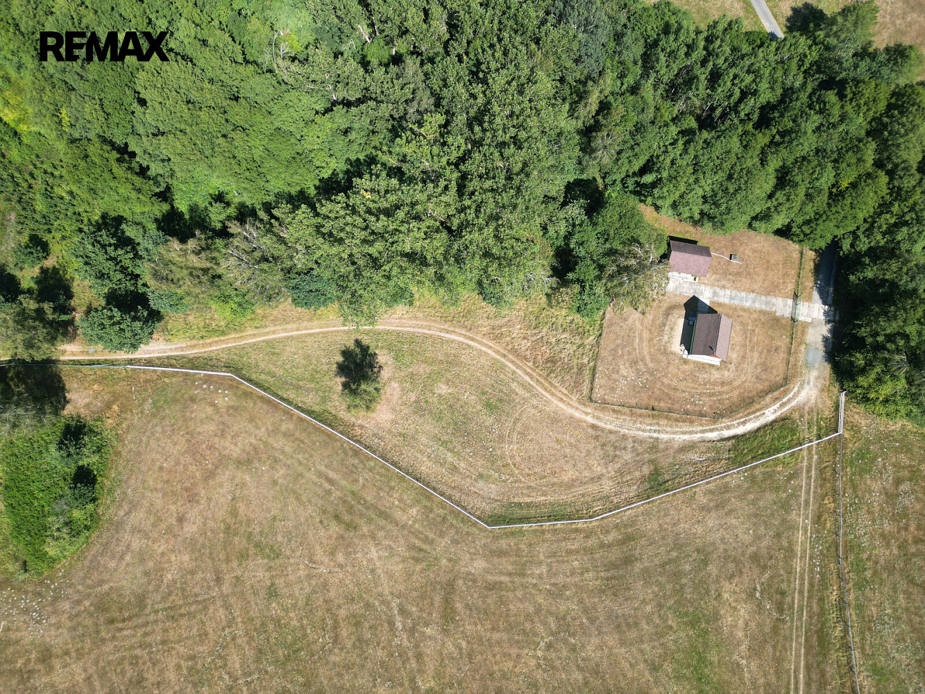 Prodej lesa 1 690 m² – fotografie 2