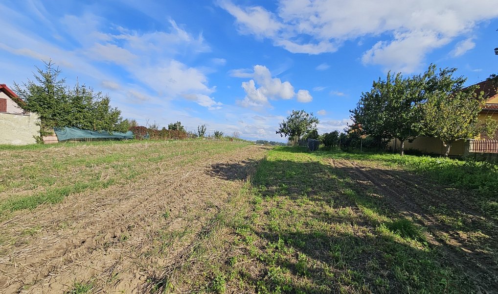Prodej stavebního pozemku 2 691 m², Skoronice – náhled fotky 4