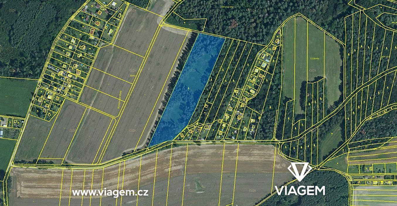 Prodej lesa 3 013 m²