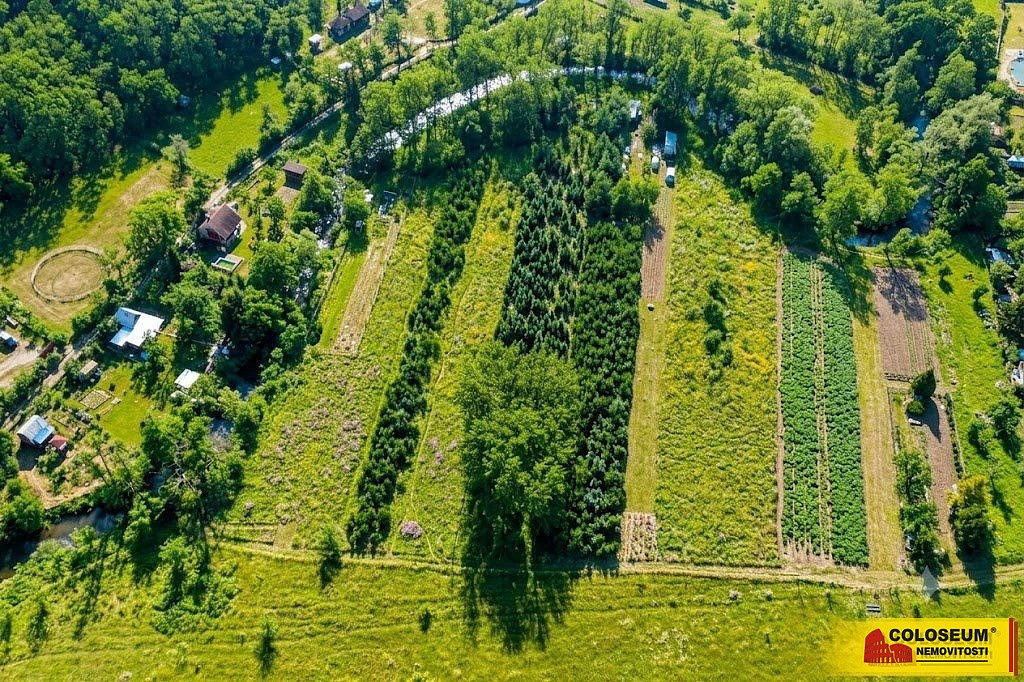 Prodej pole 2 970 m² – fotografie 5