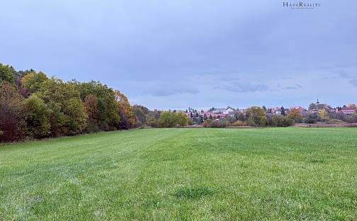 Prodej pozemku 10 516 m², Neveklov, okres Benešov