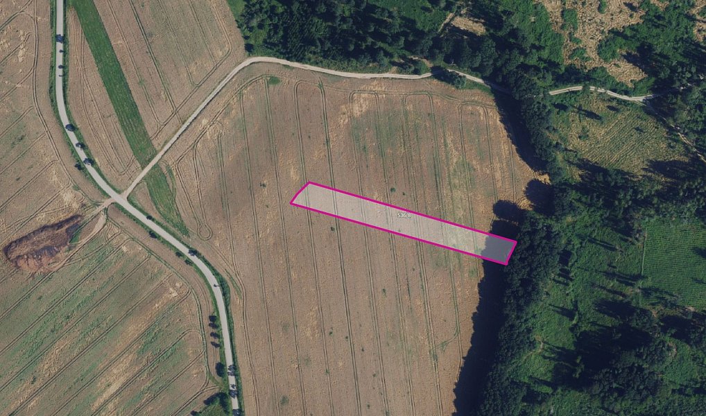Prodej pole 4 226 m², Újezd u Černé Hory – náhled fotky 3