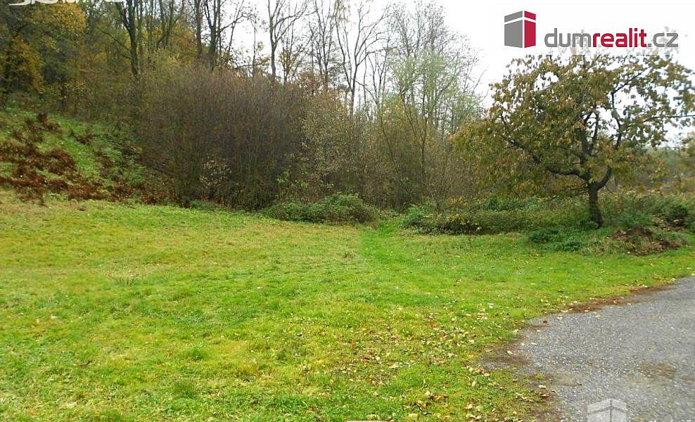 Prodej stavebního pozemku 10 000 m²
