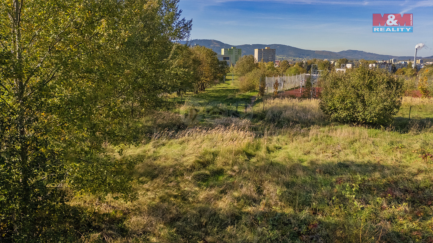 Prodej louky 4 547 m² — photo 4