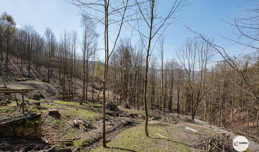 Prodej chaty/chalupy 120 m² s pozemkem 64 360 m², Morávka – náhled fotky 19