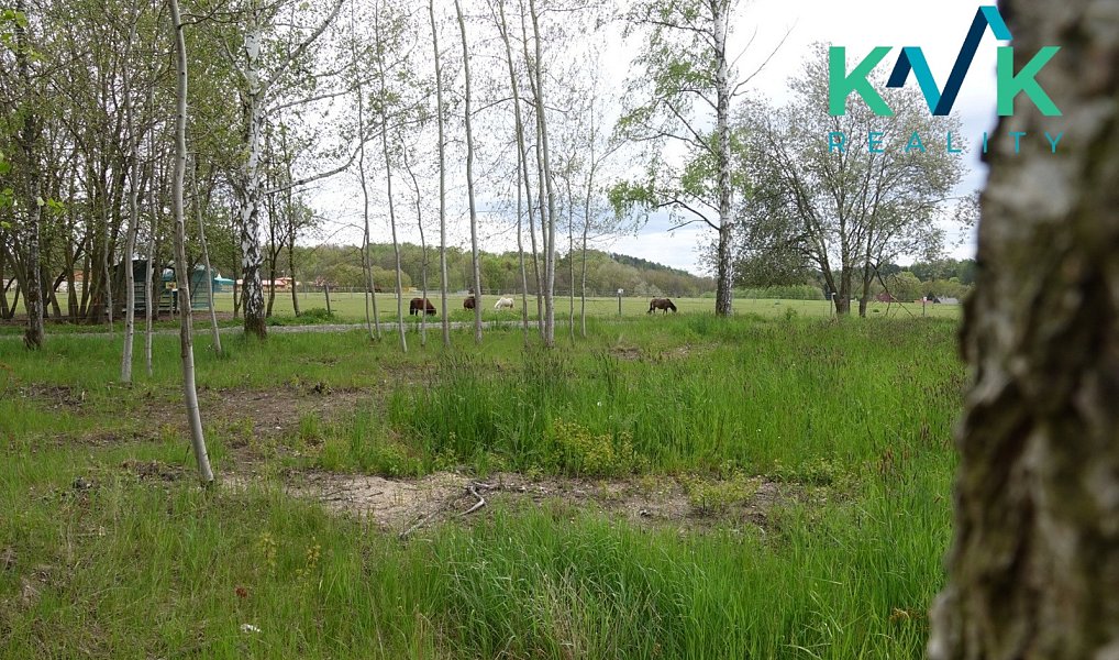 Prodej stavebního pozemku 1 144 m², Cheb – náhled fotky 9