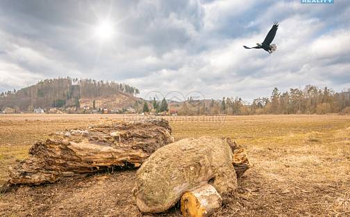 Prodej pole 14 575 m², Poříčí nad Sázavou, okres Benešov