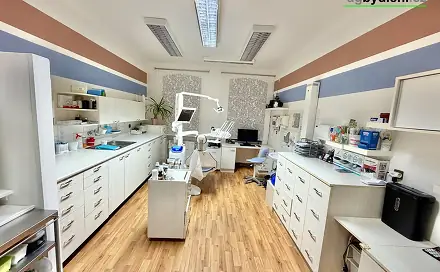 Pronájem komerčního objektu (jiného typu) 64 m², Havlíčkova, Plzeň - Jižní Předměstí