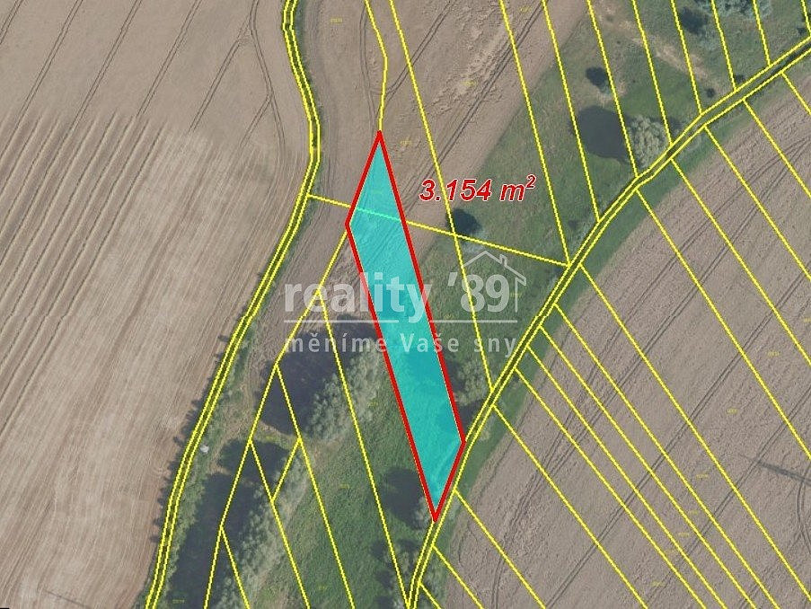 Prodej pole 12 885 m² — photo 2