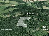 Prodej lesa 1219m2