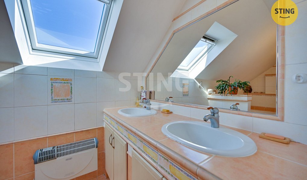 Prodej domu 250 m² s pozemkem 933 m², Velká Bíteš – náhled fotky 28