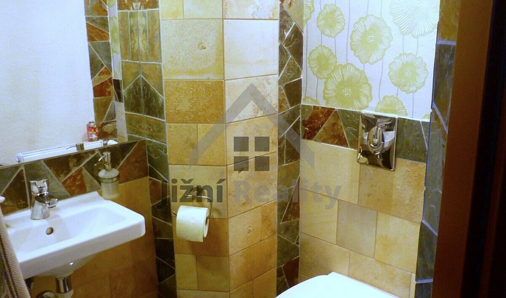 Prodej domu 500 m² s pozemkem 2 856 m², Vyšší Brod – náhled fotky 12