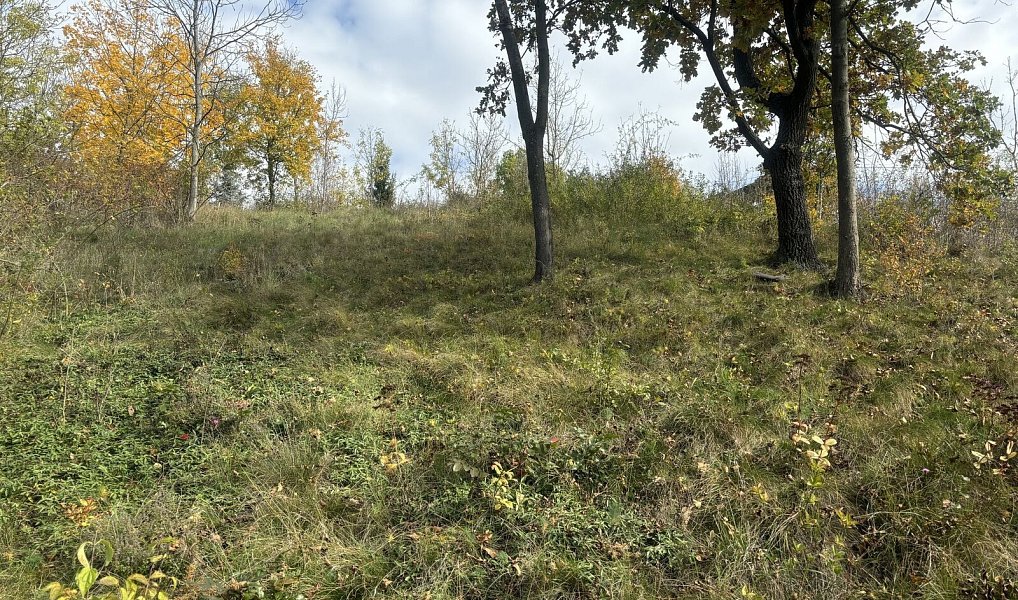 Prodej stavebního pozemku 1 100 m², Beroun – náhled fotky 5