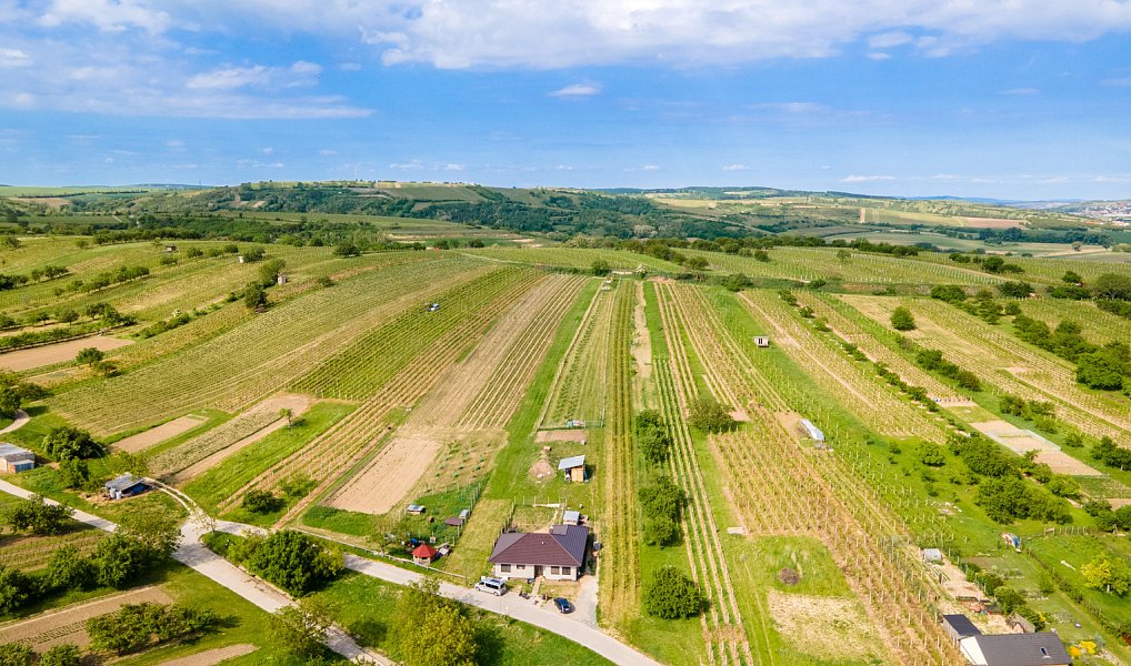 Prodej stavebního pozemku 1 528 m², Velké Pavlovice – náhled fotky 4