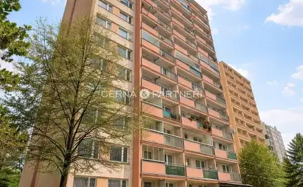 Prodej bytu 1+1 34 m², Vrchlického, Duchcov, okres Teplice