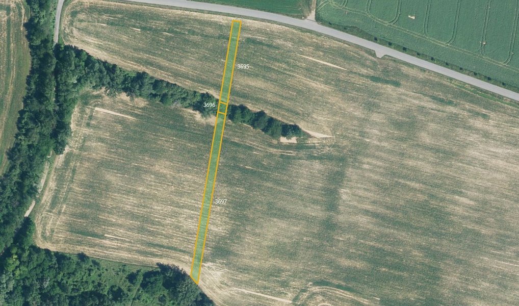 Prodej pole 4 574 m², Ořechov – náhled fotky 5