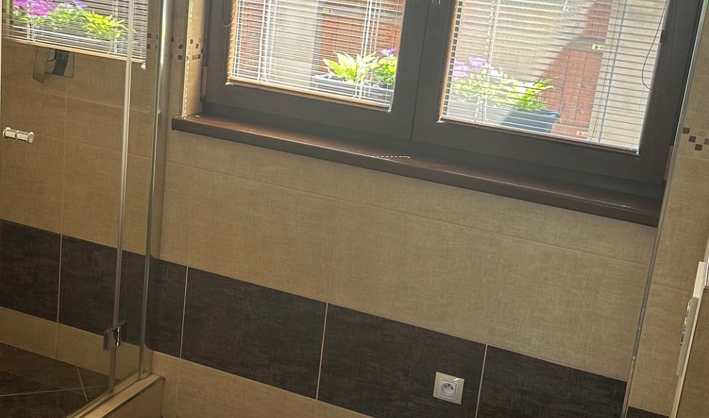 Prodej domu 249 m² s pozemkem 759 m², Borek – náhled fotky 23