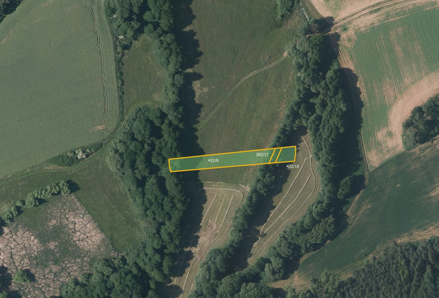 Prodej pole 23 844 m² – fotografie 3