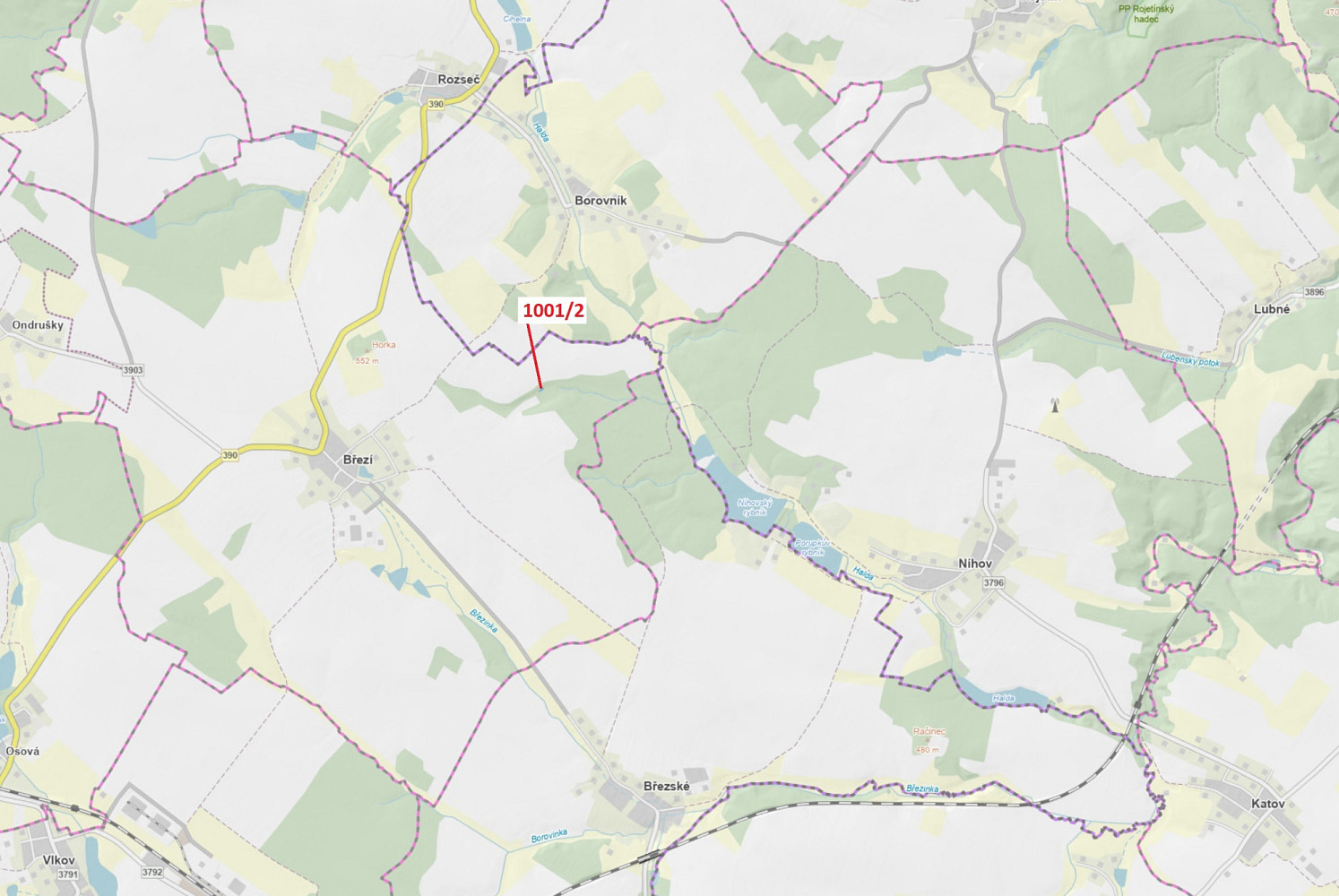 Dražba lesa 150 m²