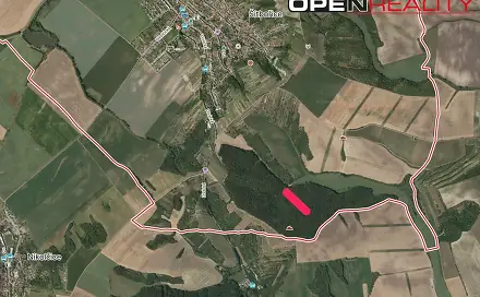 Ostatní