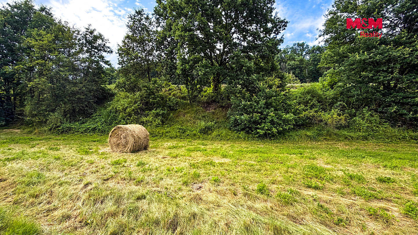 Prodej louky 2 065 m² – fotografie 4