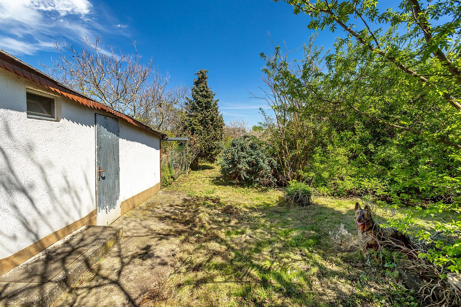 Prodej domu 95 m² s pozemkem 1 633 m² – fotografie 3