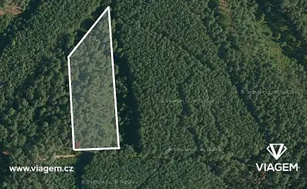 Prodej lesa 1 755 m², Vlastiboř, okres Tábor