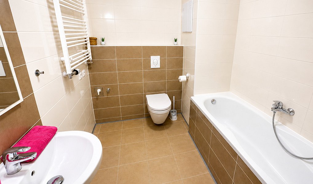 Pronájem bytu 1+kk 33 m², Praha – náhled fotky 5