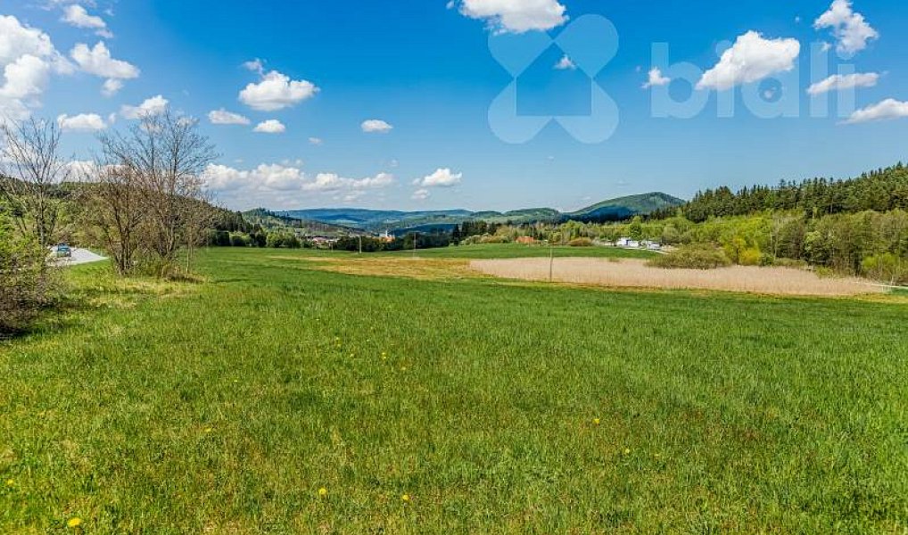 Prodej komerčního pozemku 30 000 m², Vyšší Brod – náhled fotky 10