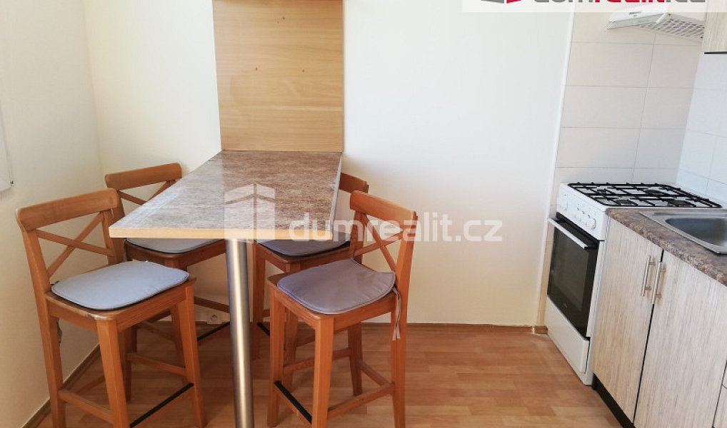 Pronájem bytu 1+1 39 m², Plzeň – náhled fotky 5