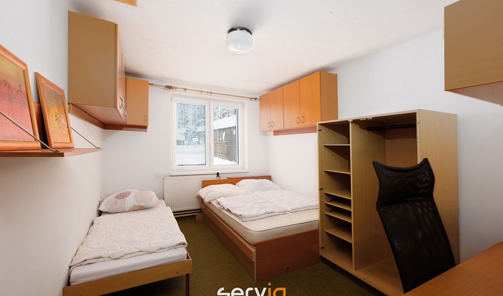 Prodej komerčního objektu (jiného typu) 500 m², Říčky v Orlických horách – náhled fotky 8
